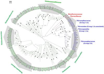 <mark class="highlighted">Biogeographic Distribution</mark> Patterns of the Archaeal Communities Across the Black Soil Zone of Northeast China